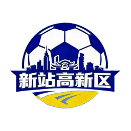 新站高新区